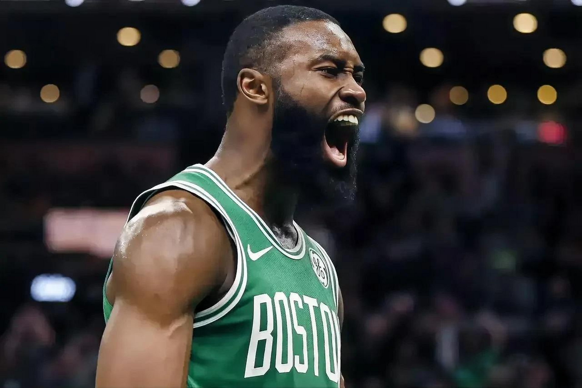 亏损波动从 亏损波动从